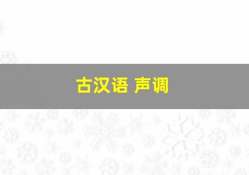 古汉语 声调